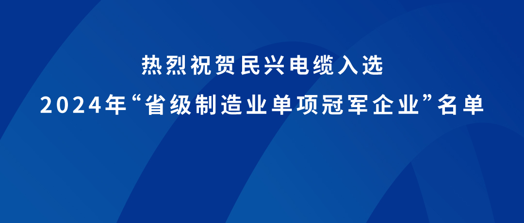 必一运动
荣获广东省制造业单项冠军！